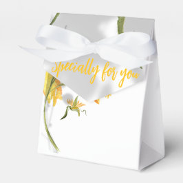 Caixa de lembrancinhas