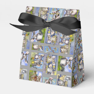 Caixa de Papel Chinchillas Engraçado