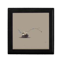 Seashell animais elegantes poem beige keepsae