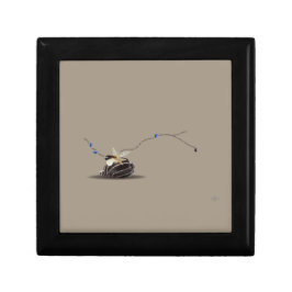 Caixa De Presente Seashell animais elegantes poem beige keepsae