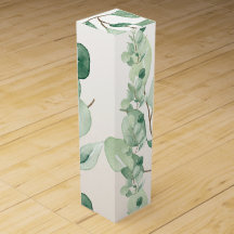 Folhas verdes de Eucalyptus pastel