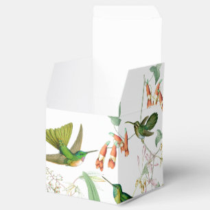 Caixa do favor dos colibris de Goulds