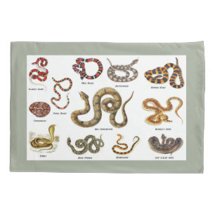 Caixa do travesseiro da identificação do cobra
