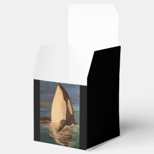 Caixa favor Orca