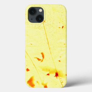 Caixa iPhone / iPad