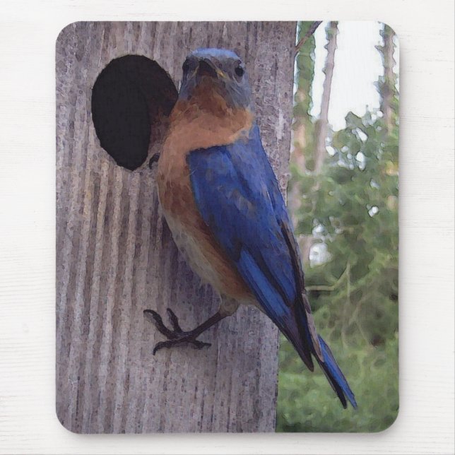 Caixa-ninha Mousepad do Bluebird (Frente)