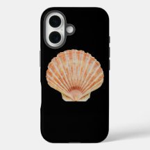 Caixa Preto do Shell Preto do Scallop Tonelado Cor