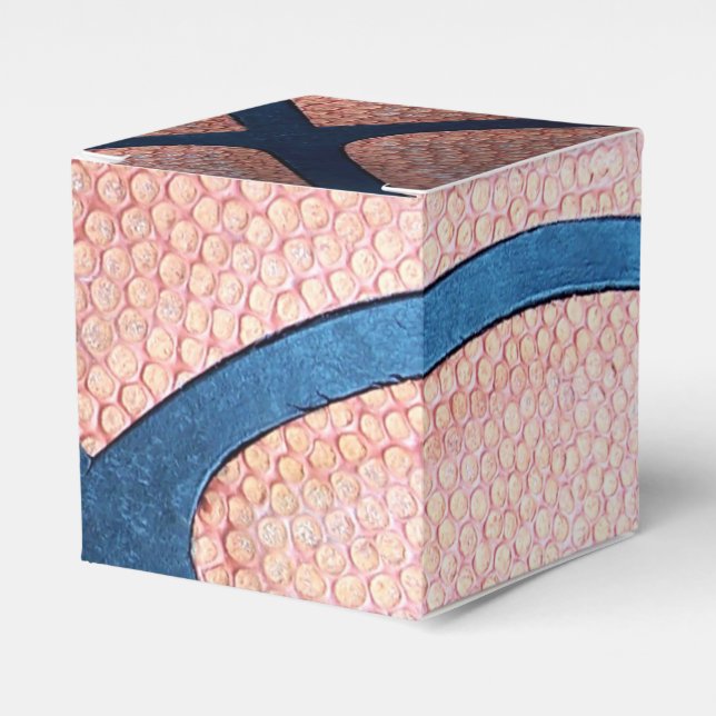 Caixas de Favor de Basquete (Frente)