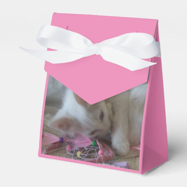 Caixas de Favor de Gatinho Branco (Frente)