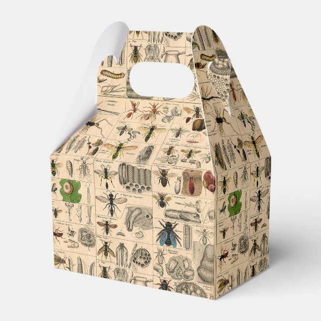Caixinha De Lembrancinhas Abelhas De Inseto Insetos Vaza História Natural (Frente)