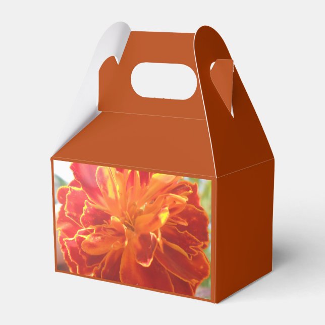 Caixinha De Lembrancinhas Anastaise (Frente)