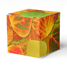 Aspen Deixa Collage Sólido Medley 1