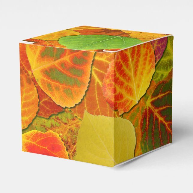 Caixinha De Lembrancinhas Aspen Deixa Collage Sólido Medley 1 (Frente)