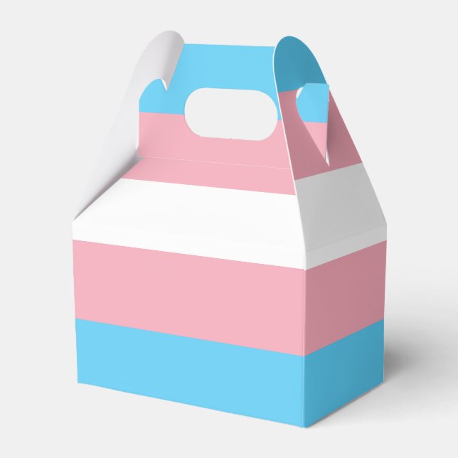 Caixinha De Lembrancinhas Bandeira Trans (Frente)