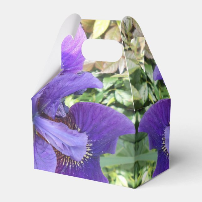 Caixinha De Lembrancinhas Brandels (Frente)