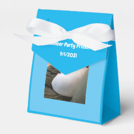 Caixinha De Lembrancinhas Cachorro Branco Cachorro Dormindo Festa Azul