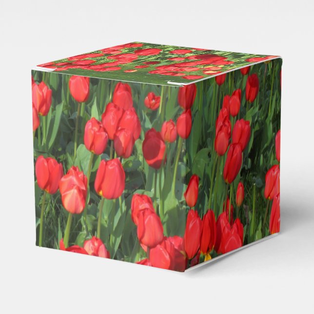 Caixinha De Lembrancinhas Cama de Tulipas Vermelhas 02 (Frente)