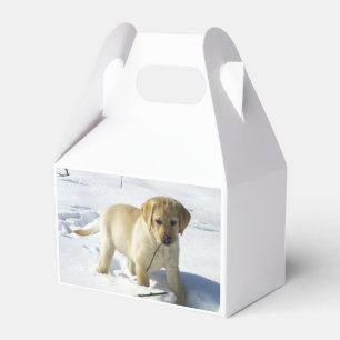 Caixinha De Lembrancinhas Cãozinho de laboratório amarelo LR na neve