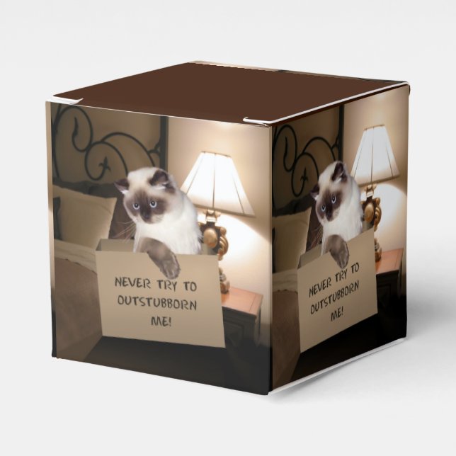 Caixinha De Lembrancinhas Cat in Box (Frente)