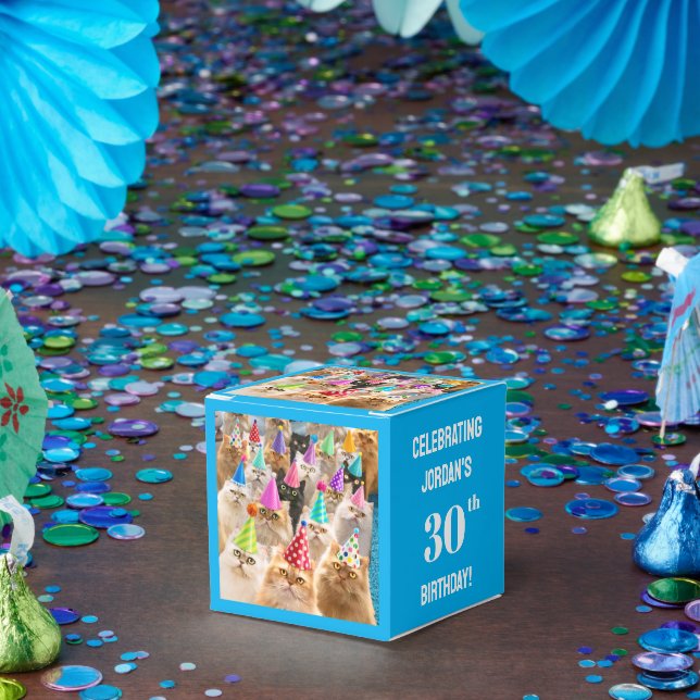 Caixinha De Lembrancinhas Cat Party (Festa)