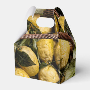 Caixinha De Lembrancinhas Cesta do limão de Amalfi