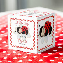 Chá de fraldas Ladybug favorece personalizado