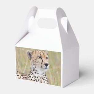 Caixinha De Lembrancinhas Cheetah