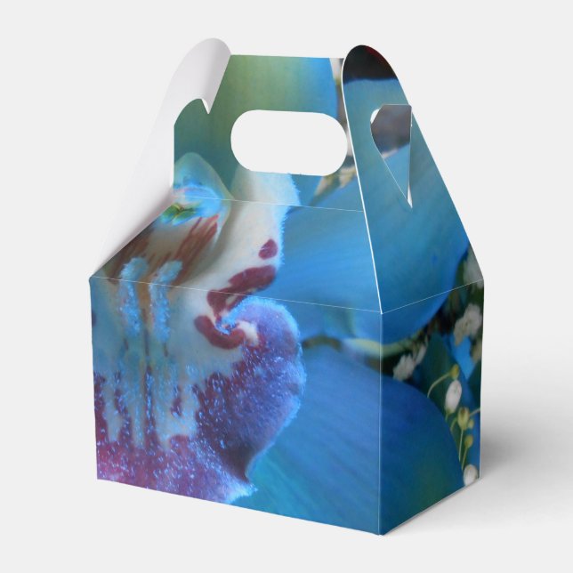 Caixinha De Lembrancinhas Donella (Frente)