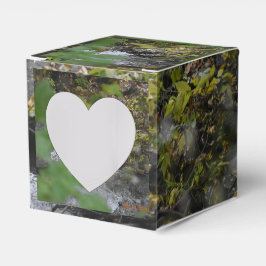 Caixinha De Lembrancinhas Encantamentos da Terra