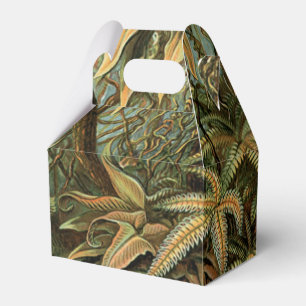 Caixinha De Lembrancinhas Ferns Palm Tree Arte Botânica Antica