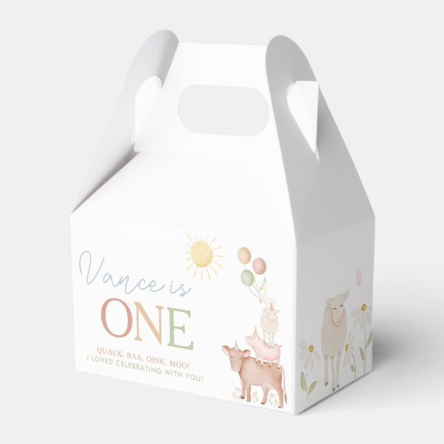 Caixinha De Lembrancinhas Festas de animais primeiros aniversarios de criaçã (Frente)