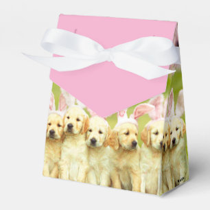 Caixinha De Lembrancinhas Fila de Coelhinhos Cachorrinhos