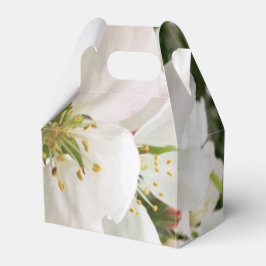 Caixinha De Lembrancinhas Flor de maçã