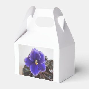 Caixinha De Lembrancinhas Florescência da violeta africana