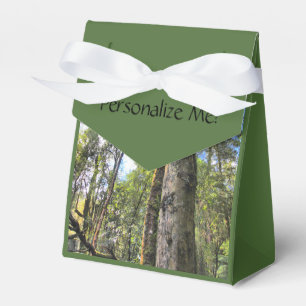 Caixinha De Lembrancinhas Floresta Tropical Australiana Eucalyptus Gum Trees