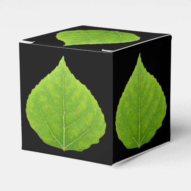 Caixinha De Lembrancinhas Folha Verde Aspen #11 (Frente)
