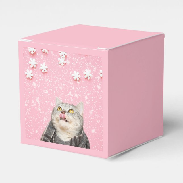 Caixinha De Lembrancinhas Gato de Neve do Candy (Frente)