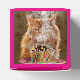Caixinha De Lembrancinhas Gato Engraçado Com Cupcake De Aniversário Derret