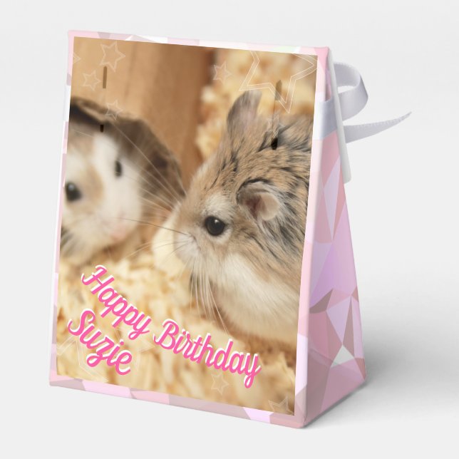 Caixinha De Lembrancinhas Hammyville - Hamster Bonito (Verso)