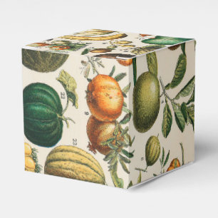 Caixinha De Lembrancinhas Ilustração Científica Botânica Vegetal fruta