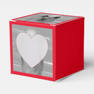 Caixinha De Lembrancinhas IslandêsSheepdog20151203