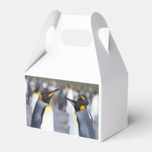 Caixinha De Lembrancinhas King Penguins