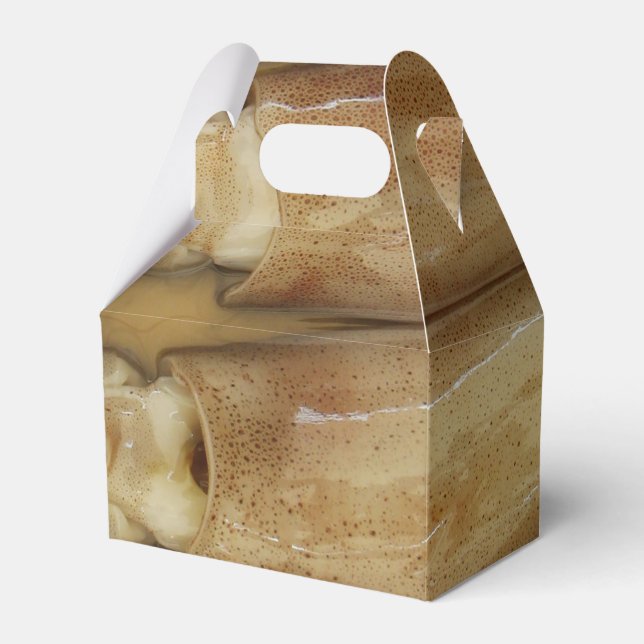 Caixinha De Lembrancinhas Lula - Calamari (Frente)