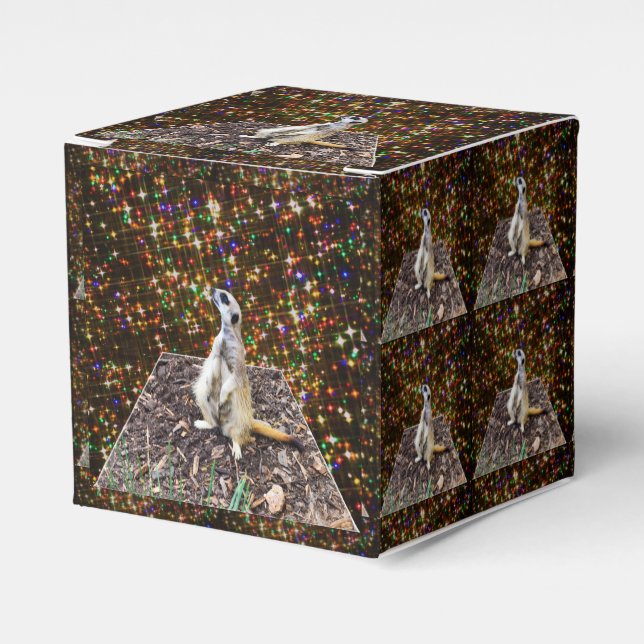 Caixinha De Lembrancinhas Meerkat Twinkle Stars, (Frente)