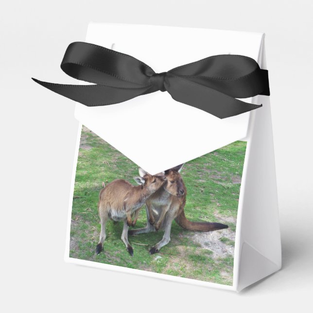 Caixinha De Lembrancinhas Não Agora, Skippy (Frente)