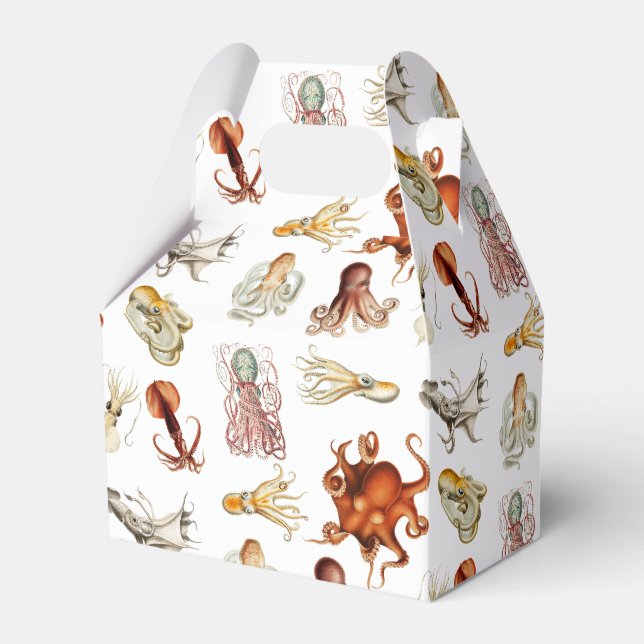 Caixinha De Lembrancinhas Octopus Cephaloposo Oceânico (Frente)