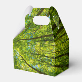 Caixinha De Lembrancinhas Olhando através das folhas de árvores verdes