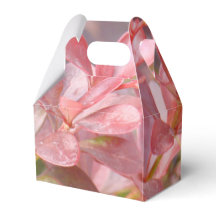Ramos Rosa Bonito