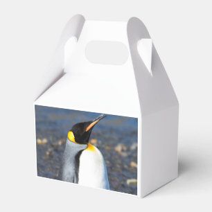 Caixinha De Lembrancinhas Retrato de pinguim