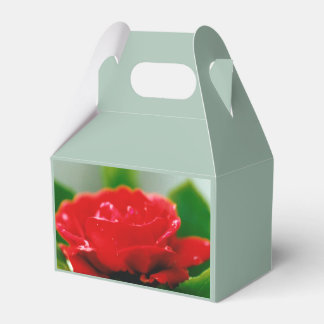 Caixinha De Lembrancinhas Rosa vermelha de paixão coberta com gotas de orval